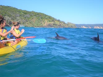 Tour di un giorno di avventura in kayak da mare con vista sui delfini di Noosa e spiaggia 4X4